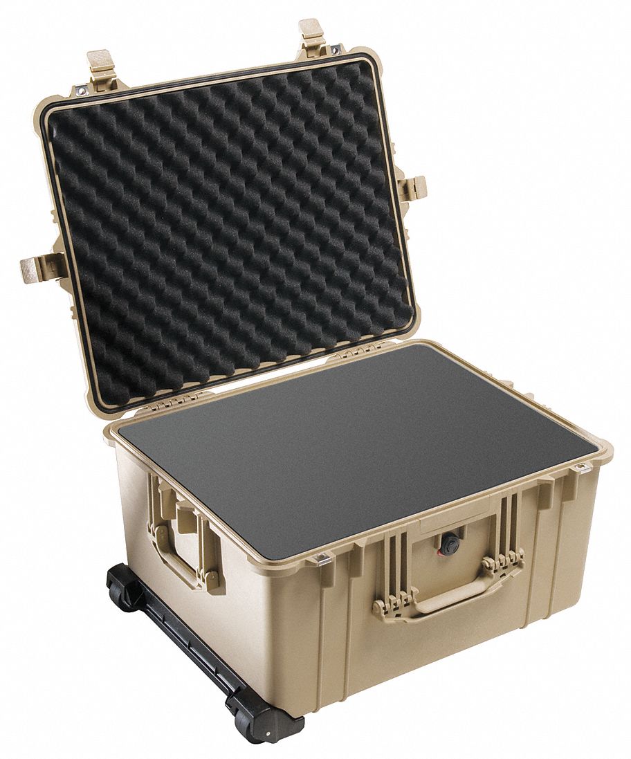 PROTECTIVE CASE, 16⅜ IN X 21½ IN X 12½ IN INSIDE, FLAT/PICK AND PLUCK, BEIGE