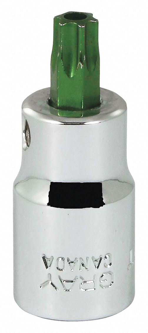SOCKET TORX HEAD 3/8IN DR T40 TAMP