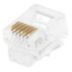 RJ12 Modular Plugs