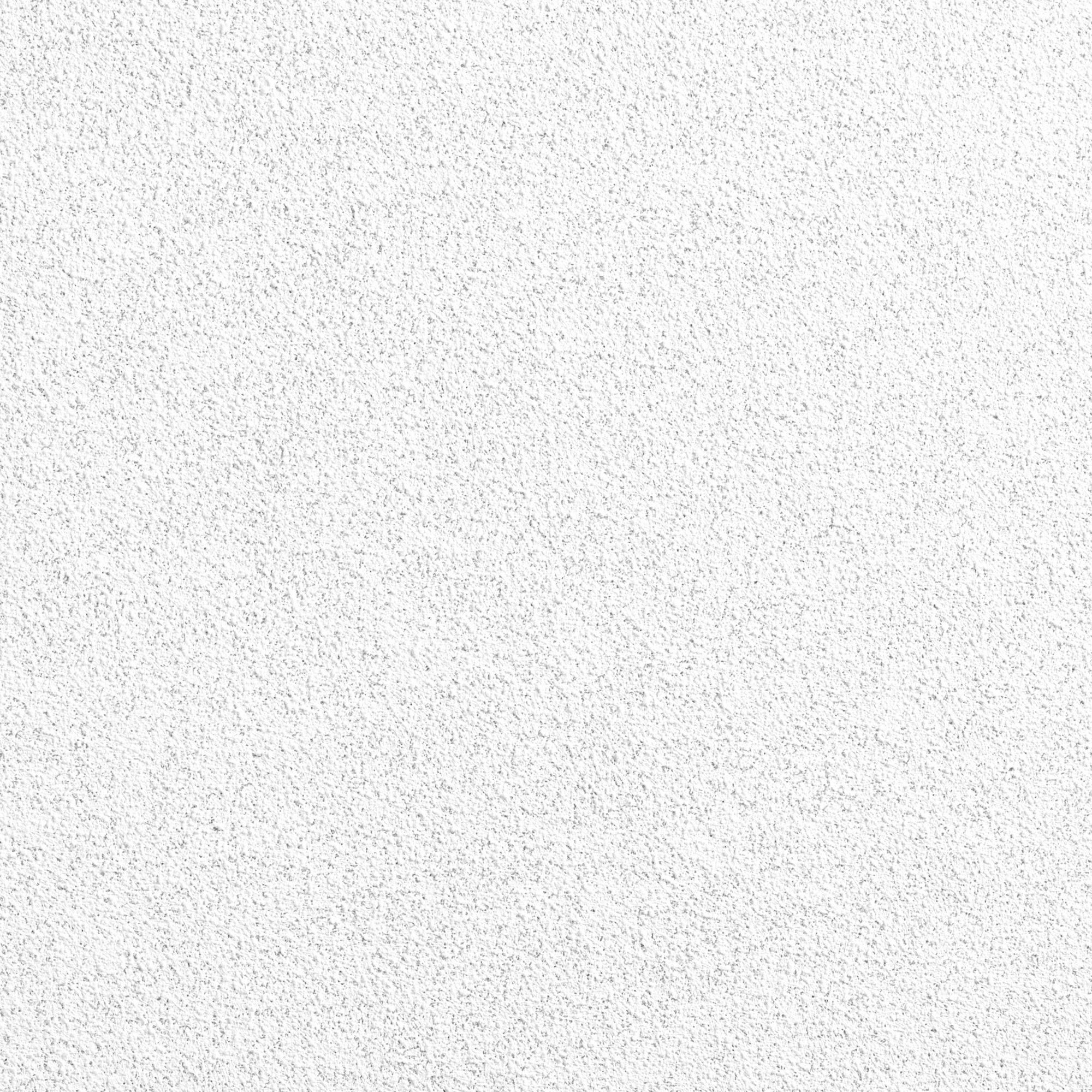 Ceiling Tile 24 in L 24 in W PK12