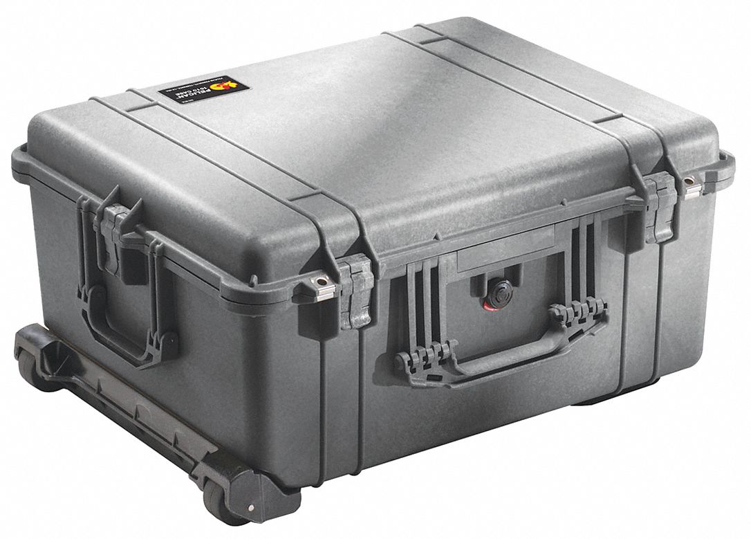 PROTECTIVE CASE, 16¾ IN X 21¾ IN X 10⅝ IN INSIDE, FLAT/PICK AND PLUCK, BLACK