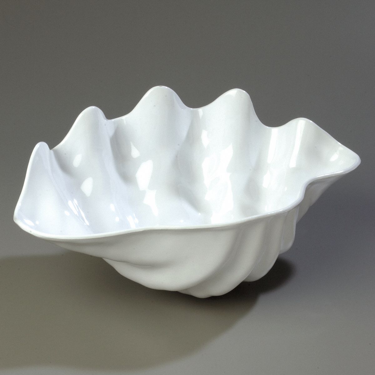 giant clam shell serving bowl