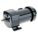 GEARMOTOR AC 22RPM