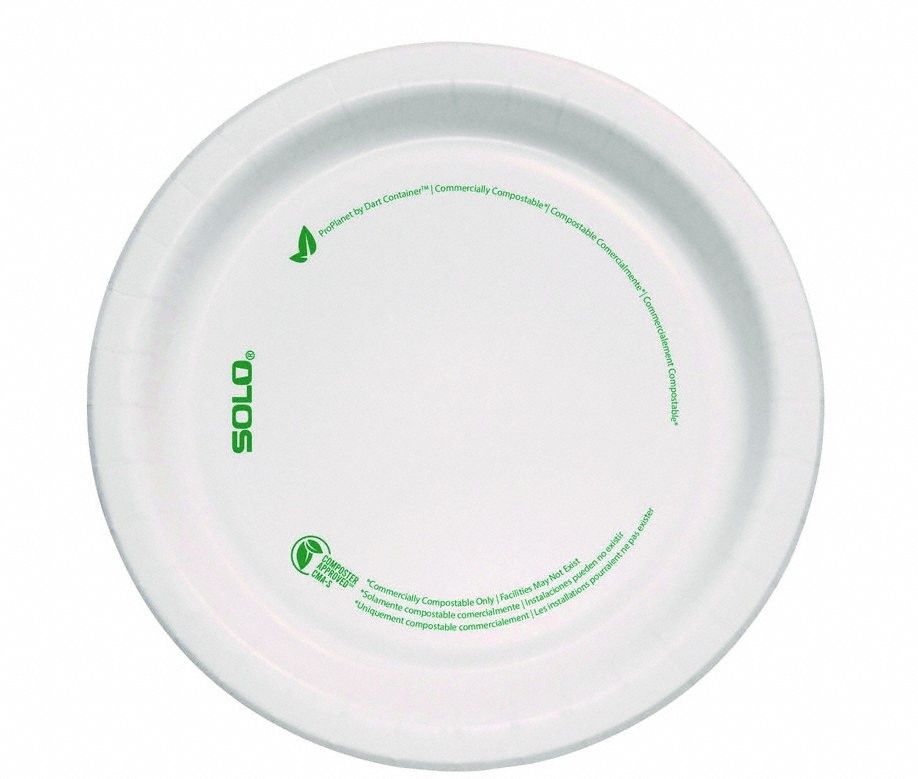 Disposable Paper Plate: