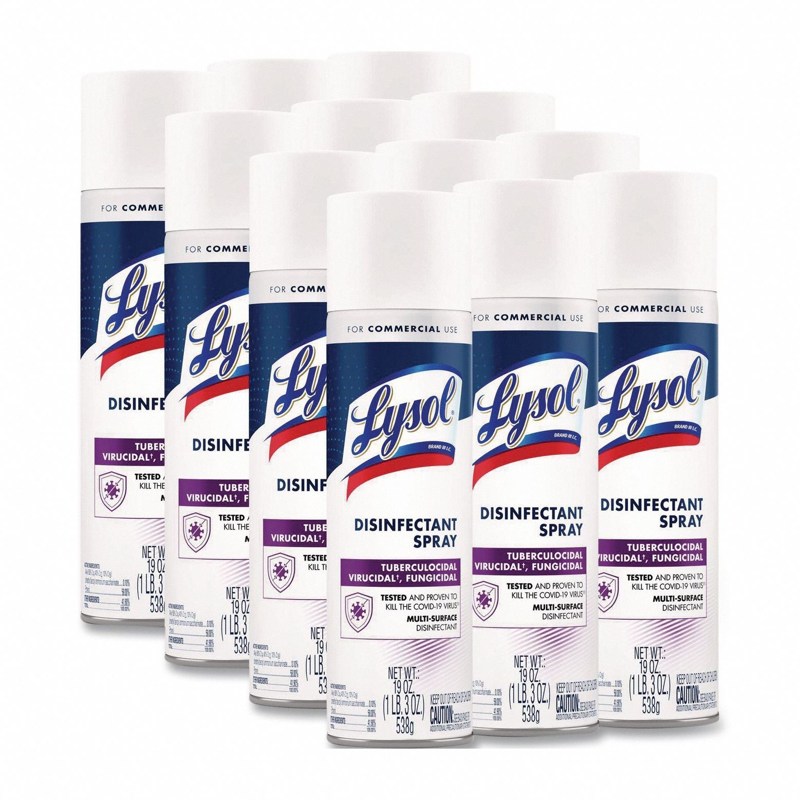 Disinfectant Cleaner 19 oz PK12