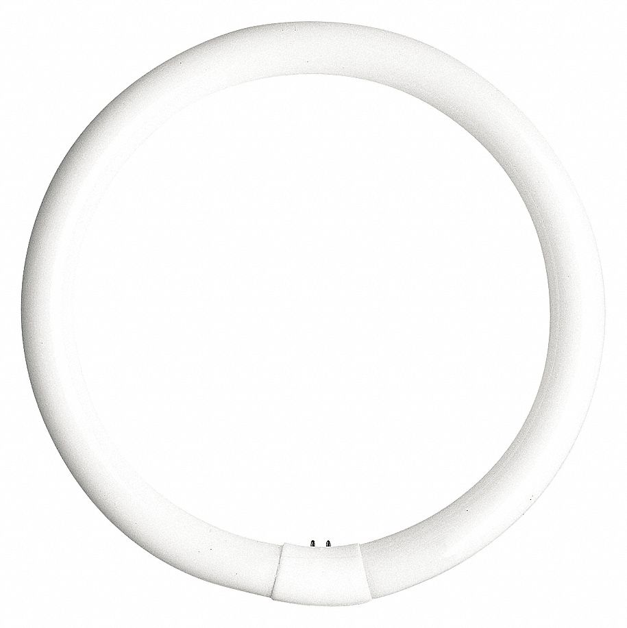 CIRCULAR FLUORESCENT BULB, FLUORESCENT, T9, 4-PIN (G10Q), 12 IN DIA, 32 W, 4100K