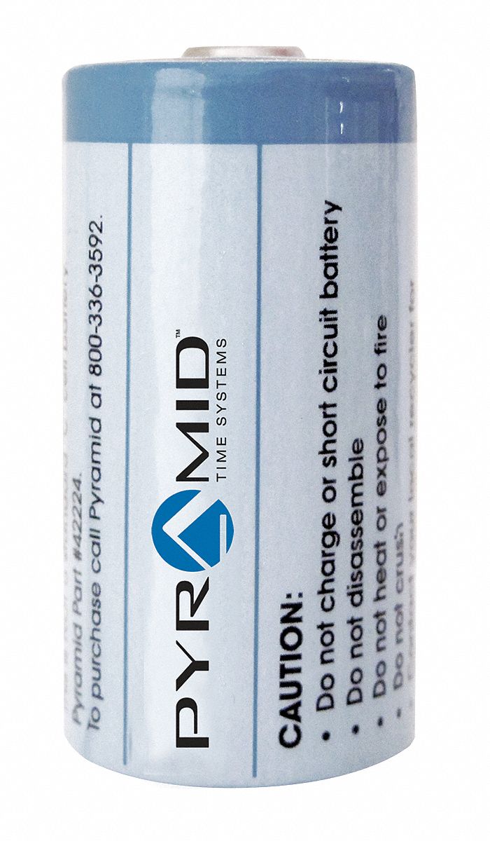 C BATTERY, REPLACEMENT 3.6V DC, LITHIUM, BUTTON