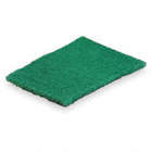 SCOURING PADS GREEN PACK OF 15