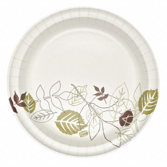 Dixie Disposable Plate Paper Dinner Plate 10 1 8 In Disposable Plate Size Microwave Safe 500 Pk 15j138 Sxp10path Grainger