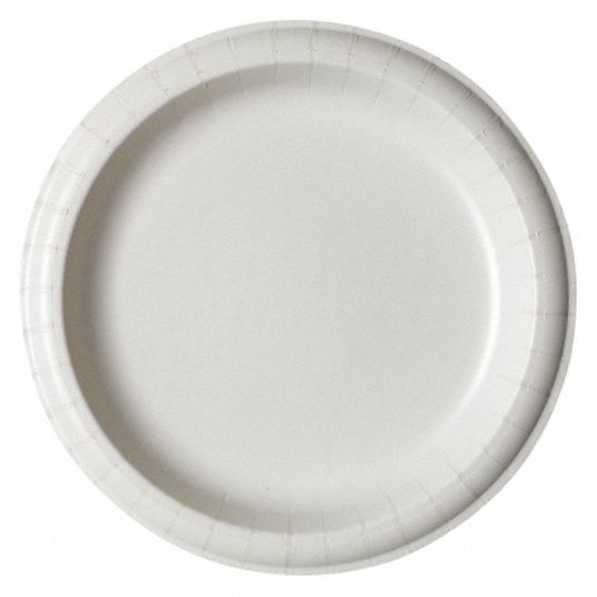 APPROVED VENDOR Disposable Paper Plate: White, Heavy-Wt, 9 in Disposable  Plate Size, 600 PK