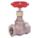 GLOBE VALVE, 1½ IN, BRONZE, FNPT THREAD, 200 PSI