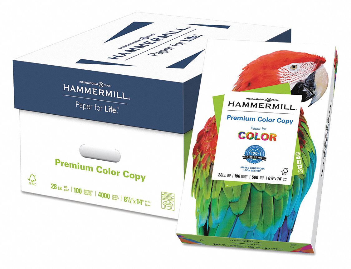 Hammermill Premium 8.5 x 11 3-Hole Punched Color Copy Paper, 28 lbs., 100  Brightness, 4000 Sheets/