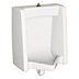 Wall-Mount Flush Valve Urinals with Top Spud