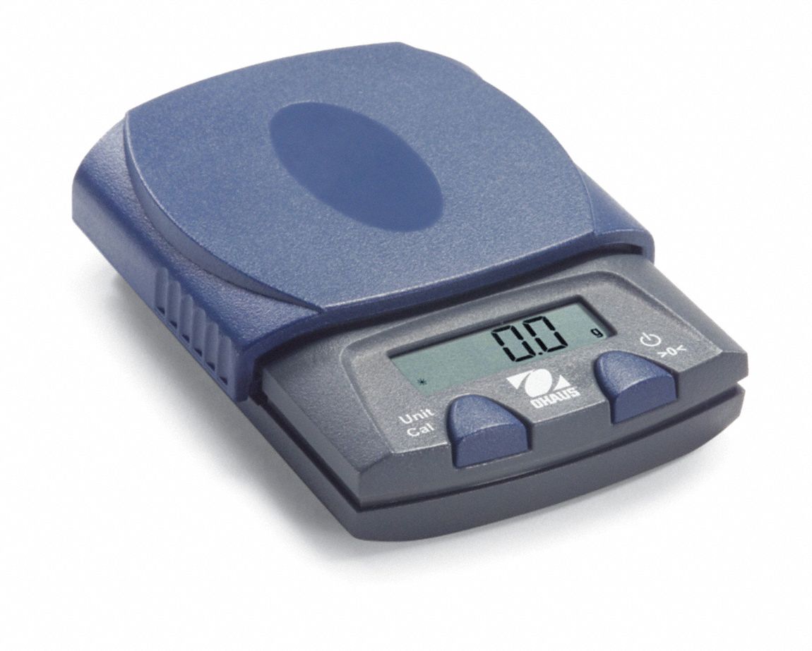 PORTABLE SCALE,PLASTIC PLTFRM,250G CAP.