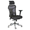 Mesh Executive Chairs with Adjustable Arms