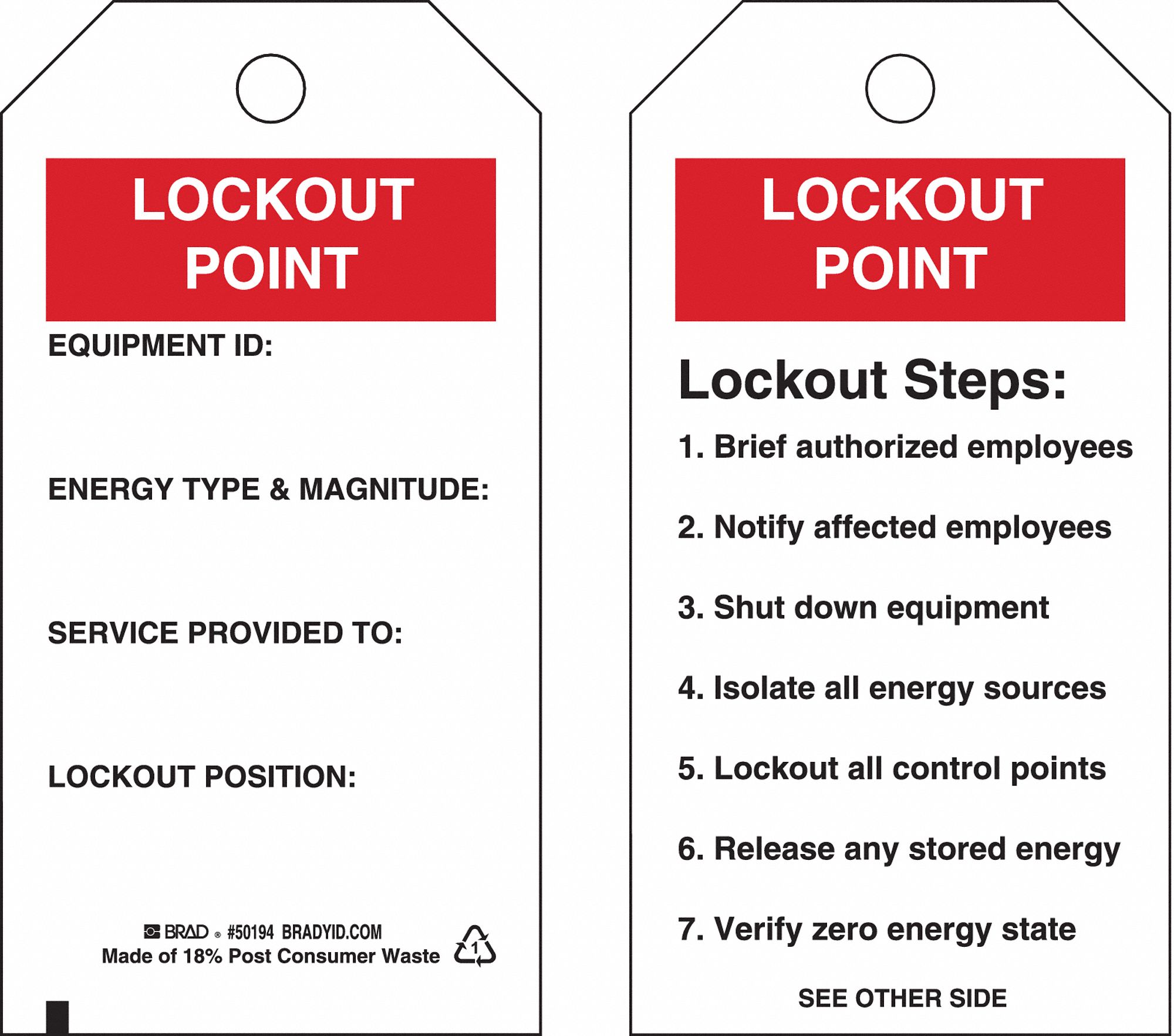 LOCKOUT TAG, LOCKOUT POINT, POLYESTER, WRITE-ON SURFACE, ENGLISH, 10 PK