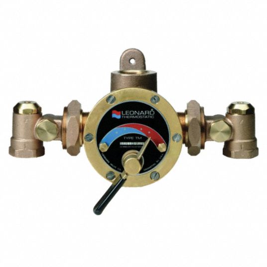 LEONARD VALVE 1 1/4 in FNPT Inlet Type Steam and Water Mixing Valve ...