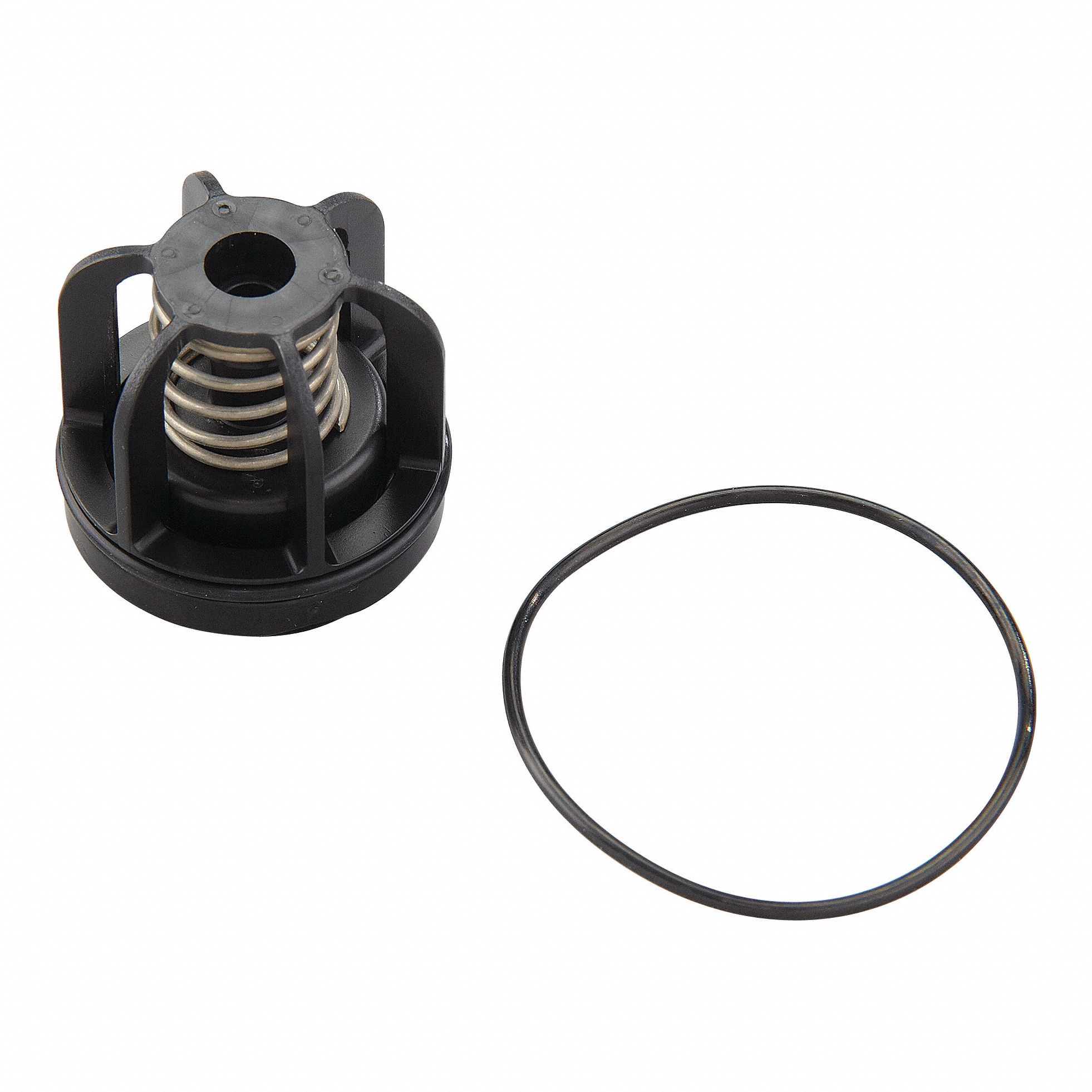 Repair Kit Watts Series 009 M3 3/4 In