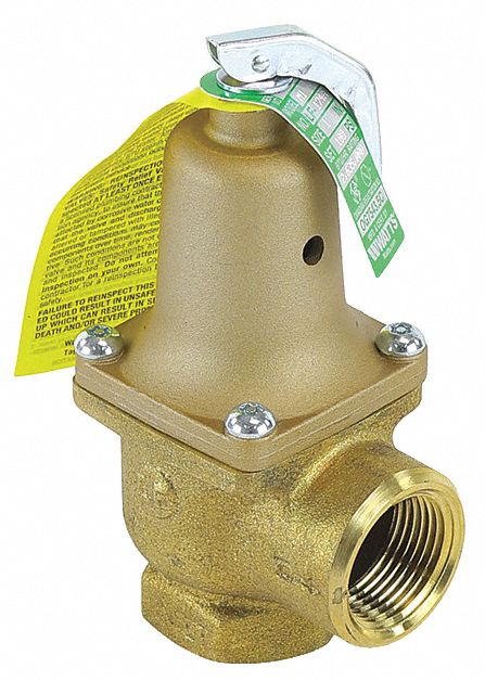 Pressure Safety Relief Valve 1 100 psi 