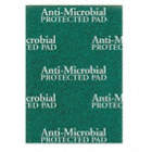 ANTIMICROBIAL SCOURING PAD,GREEN,PK