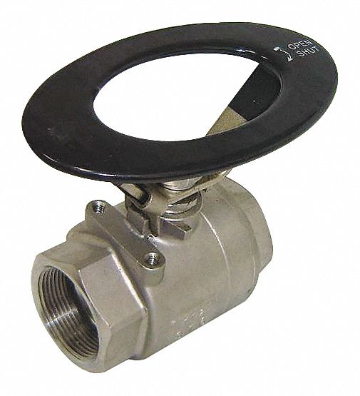 MANUAL TWO-WAY BALL VALVE: ½ IN, 316 STAINLESS STEEL, STRAIGHT VALVE BODY, PTFE