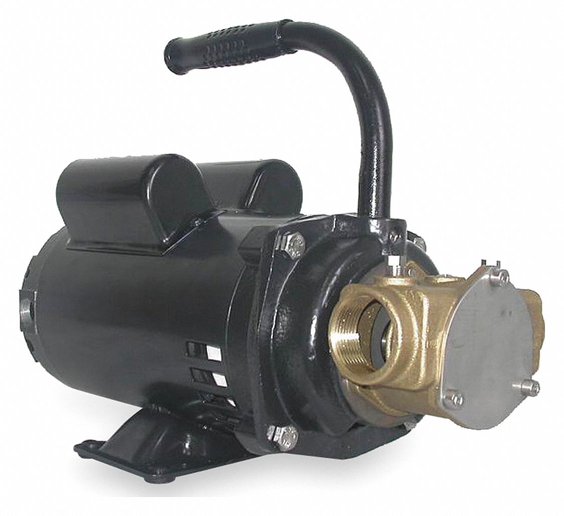 PUMP,BRONZE,3/4 HP,115/230V,10.8/5.