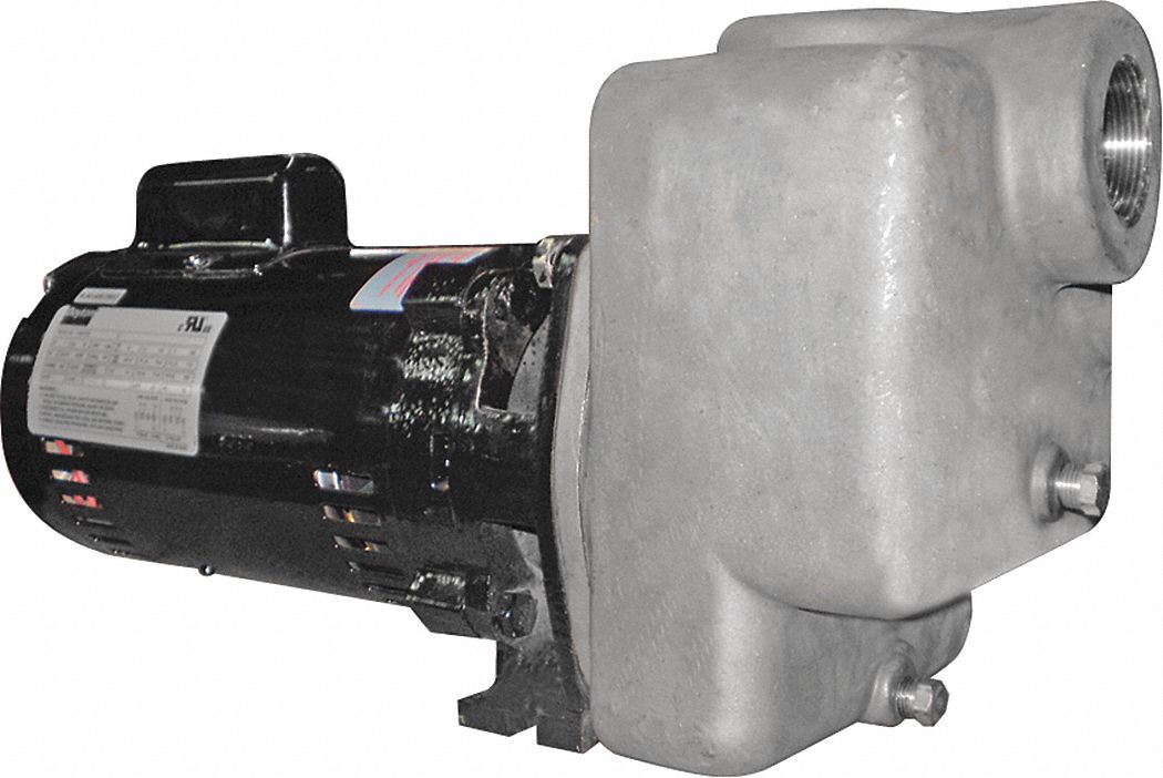 POMPE CENTRIF,1 HP,PR,1 PH