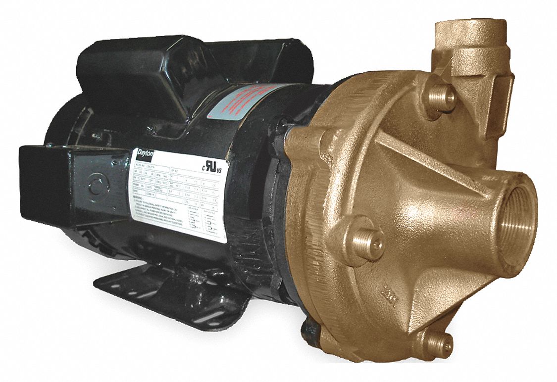 CENTRIFUGAL PUMP, 3 HP, 1 PH, 230V