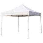 INSTANT CANOPY,10 FT. X 10 FT.