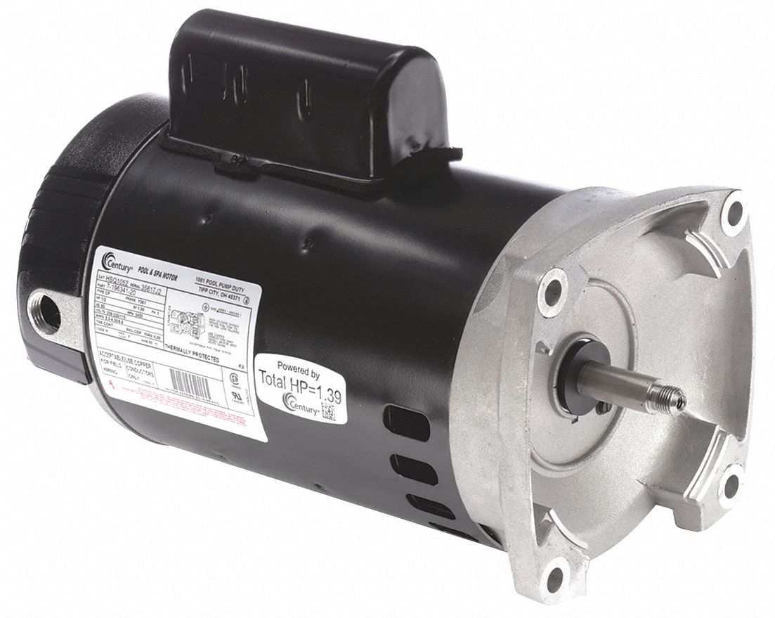 CENTURY Pool and Spa Pump Motor: Face Mounting, 1/2 HP, 1.99 Motor Service  Factor, 115/208-230V AC