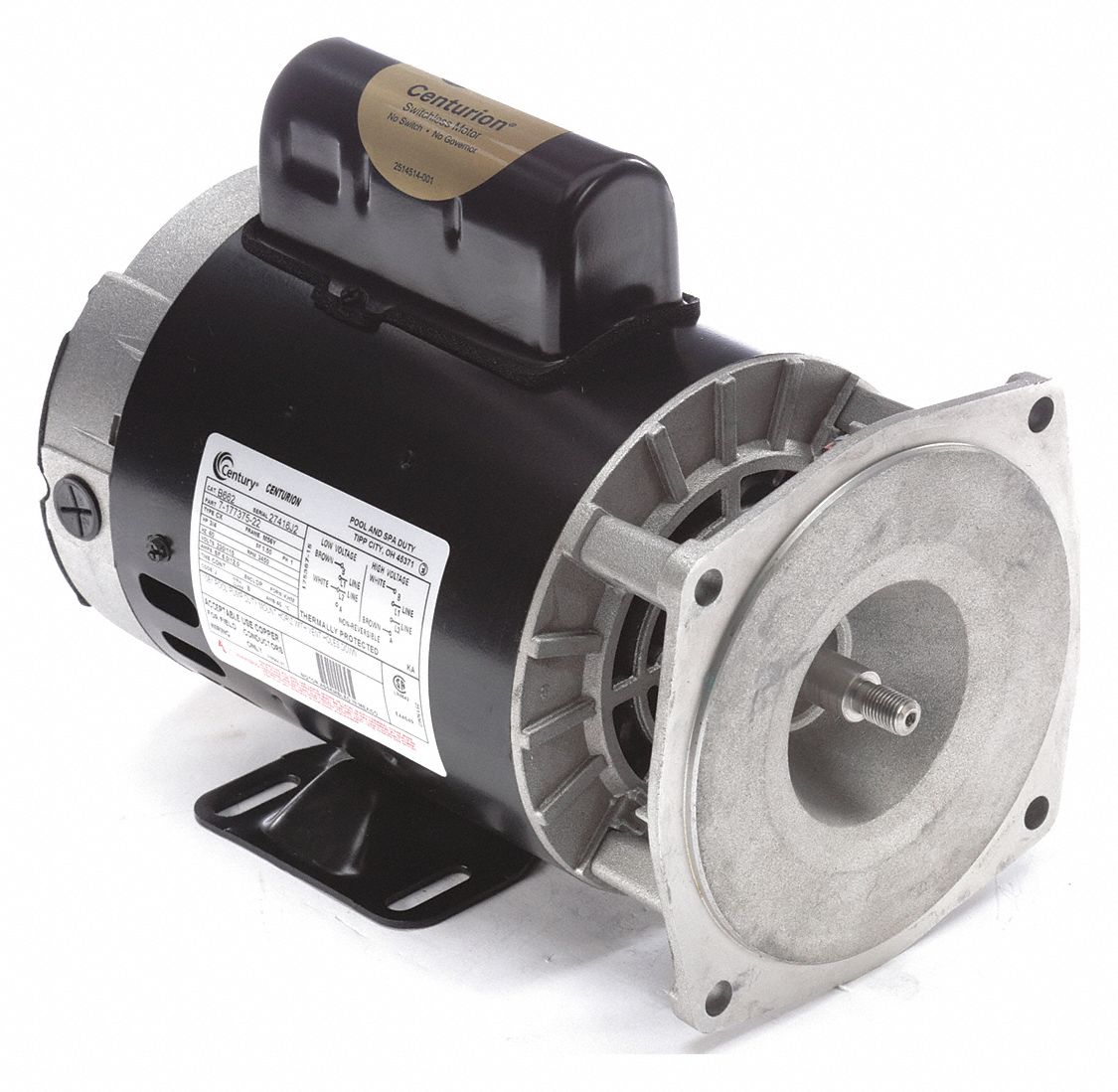 CENTURY, Rigid Base Mounting, 3/4 HP, Pool and Spa Pump Motor 16U422
