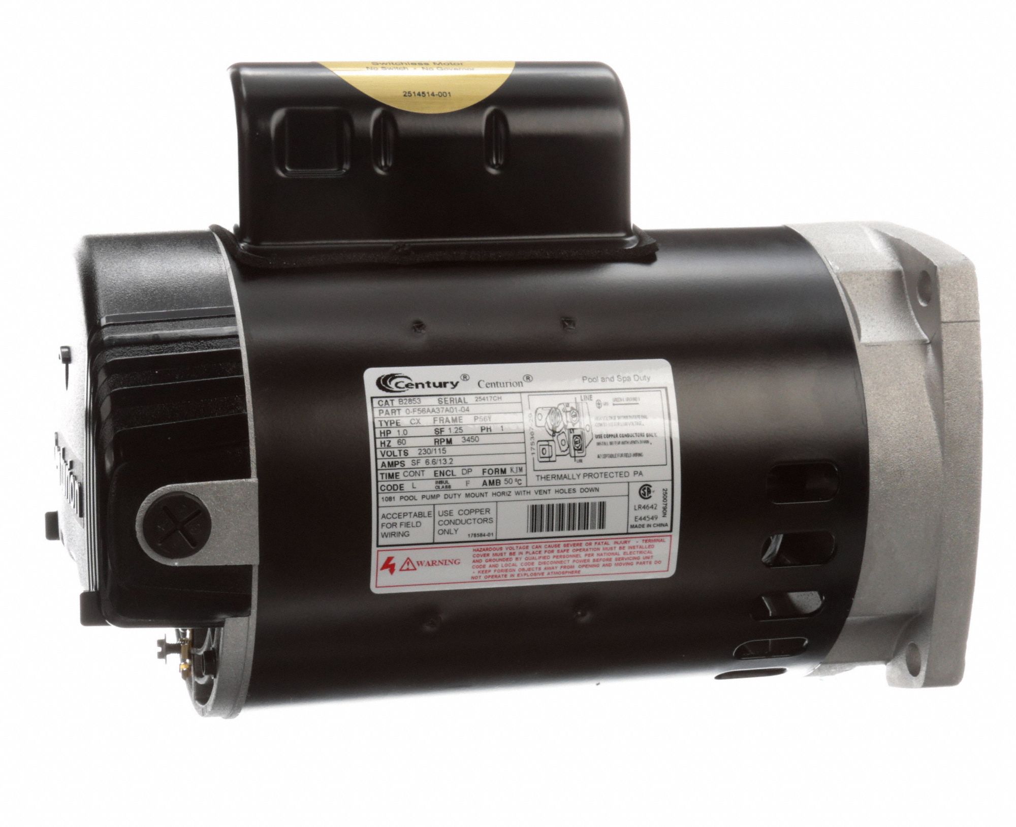 CENTURY Pool and Spa Pump Motor Face Mounting, 1 HP, 1.25 Motor