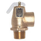 SAFETY RELIEF VALVE,1 X 1 IN,5 PSI