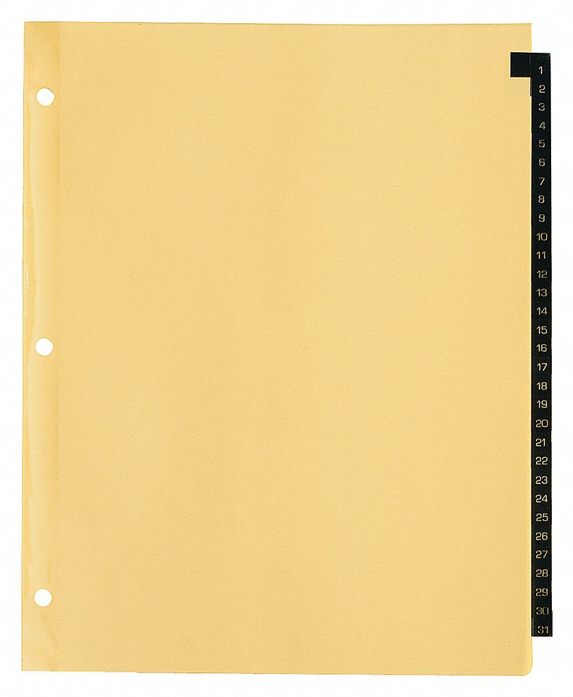 INDEX TAB SET,NUMBERED,31 TABS,LEAT