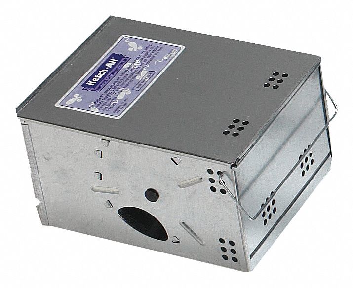 Mice on sale trap box