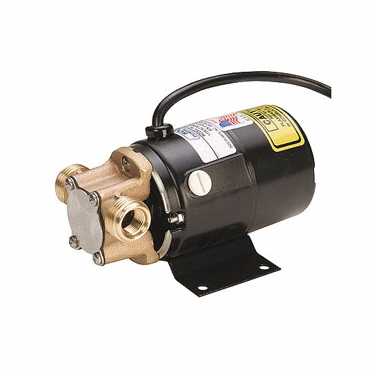 Blue-White Industries Chem-Feed Diaphragm Metering Pump | 115V 60Hz | C