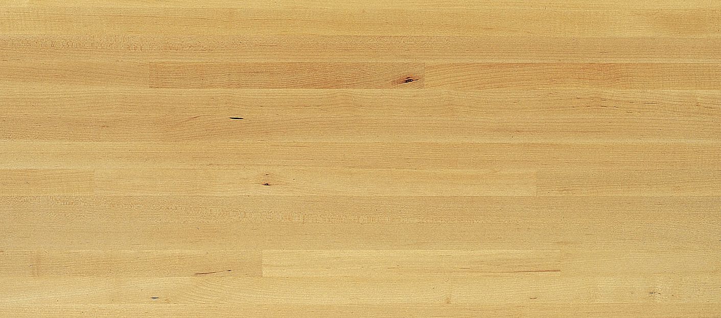 Workstation Top: Workstation Top, 50 1/8 in Overall Wd, 25 in Overall Lg, 1 1/2 in Overall Ht