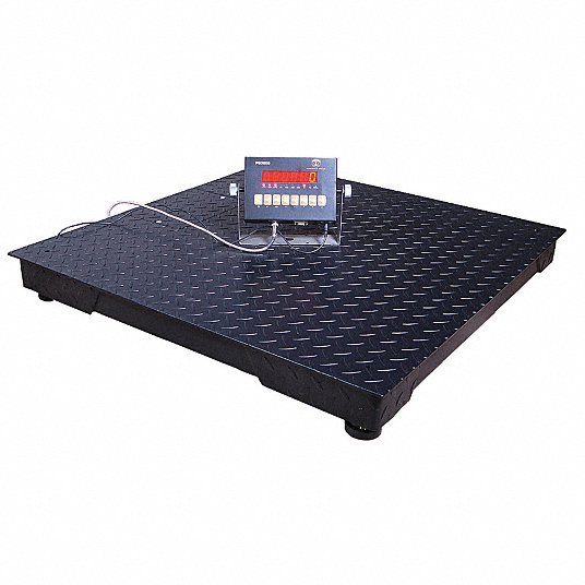 Platform Floor Scale: 5,000 lb Wt Capacity, 48 in Weighing Surface Dp, kg/lb, 0.5 kg/1 lb