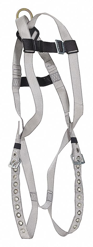 DYNAMIC HARNESS B-COMPLIANT ECONOMY - Harnesses - DSIFP4001DG ...