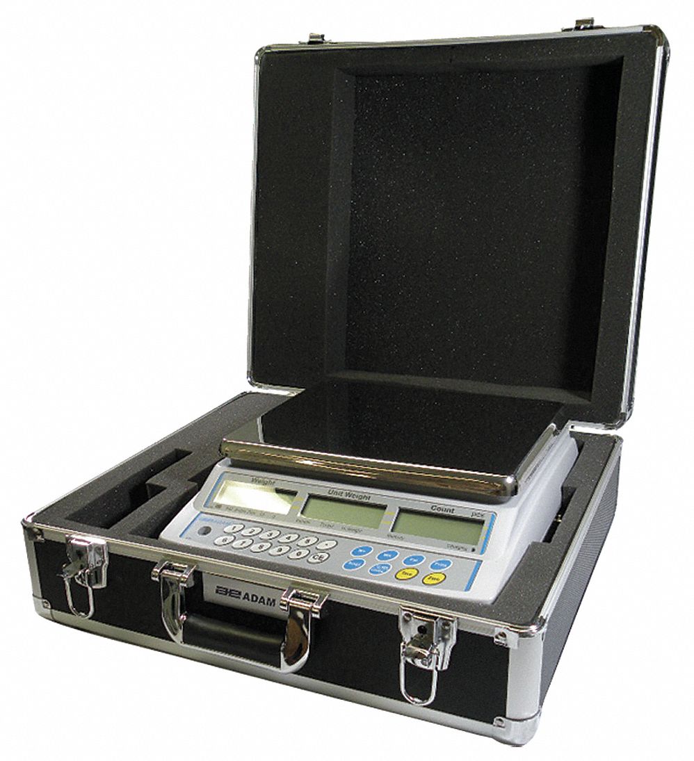 Scale Carrying Case 19YN99302000001 Grainger