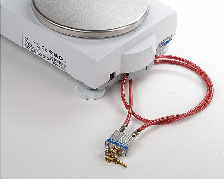 Scale Anti-Theft Device