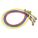 HOSE SET, CHARGING, 5 FT L, 45 ° , BLUE/RED/YELLOW, 3 HOSES, ANTI-BLOWBACK VALVE