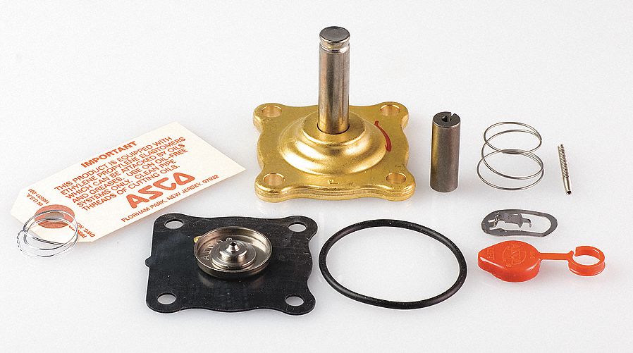 VALVE REBUILD KIT, FOR EMERSON, HOT WATER/STEAM VALVES, INCLUDES CAP, CLIP, CORE ASSEMBLY