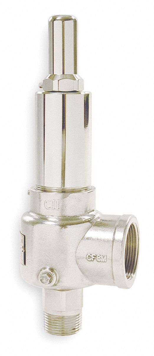 POP Safety Valve,1/2 x 1 In,100psi,SS