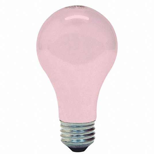 GE 100w 120v A-Shape A19 Soft White Long Life Incandescent lamp 2 bulbs 