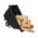 Product Image #8