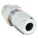 Primary Product Image