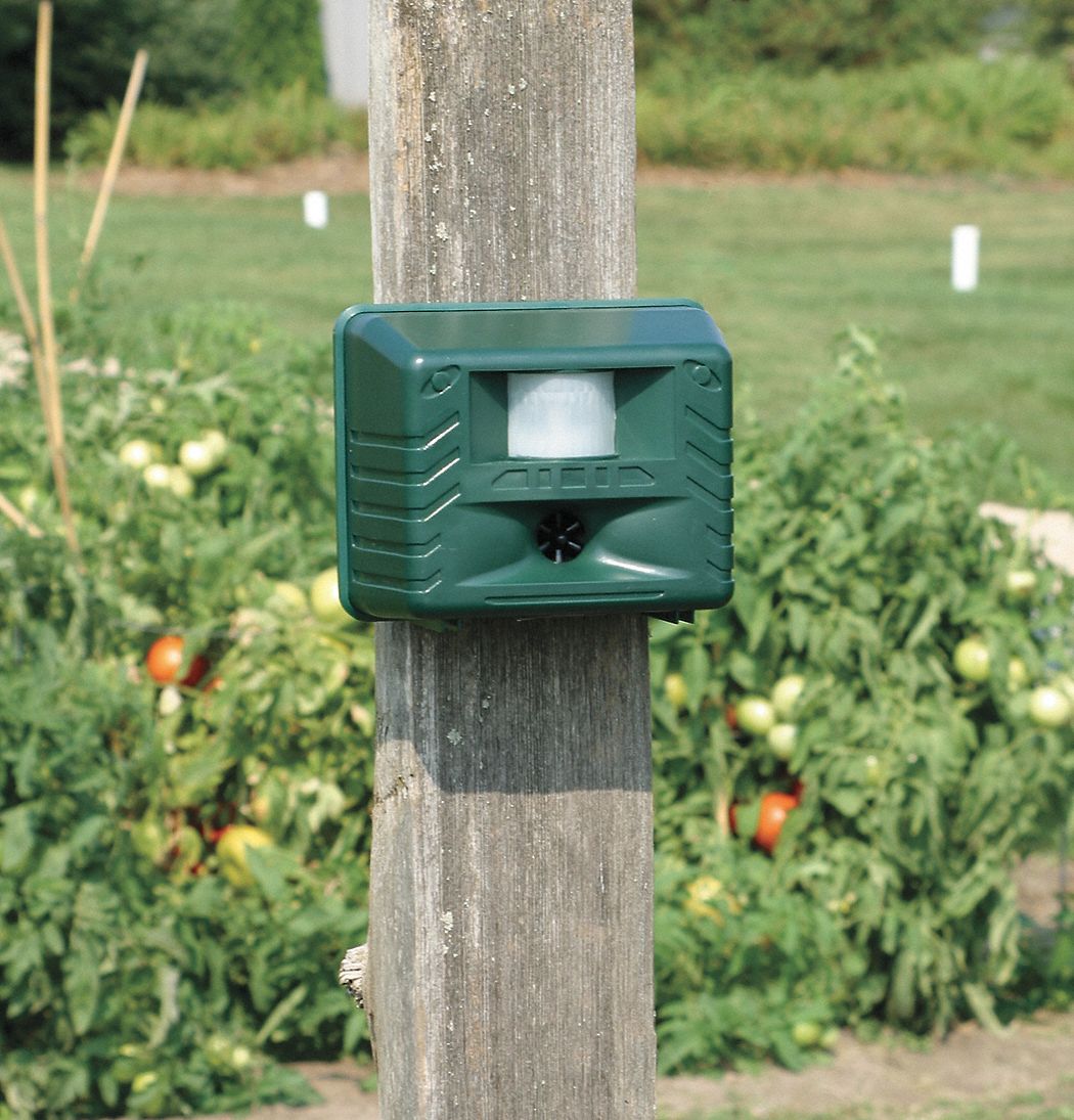 BIRDX Electronic Animal Repeller 1DGX2YG Grainger