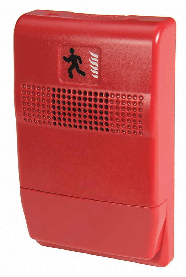 Temporal Horn: Temporal