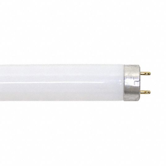 Voorzichtig Gemiddeld Merchandising CURRENT, T8, Medium Bi-Pin (G13), Linear Fluorescent Bulb -  1F338|F28T8/CW/4 - Grainger